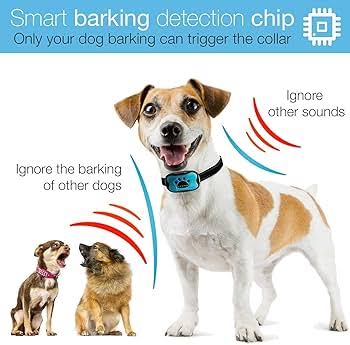 Collar Adiestramiento Bark Collar  XS